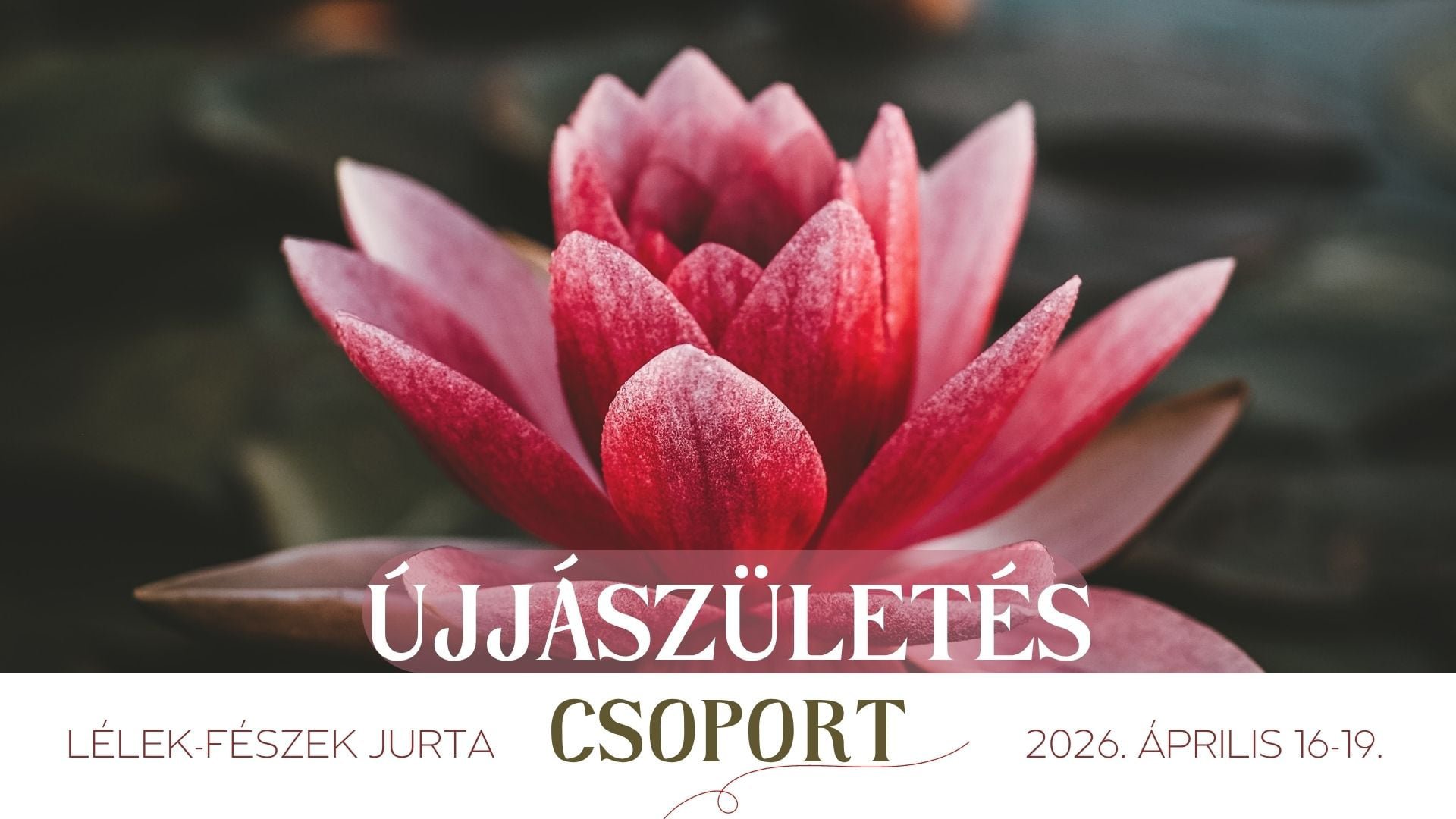 748FF1C2 8CA8 427B B489 1C0D2C917314